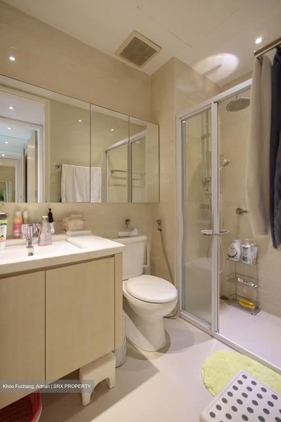 Duchess Crest (D10), Condominium #541177541